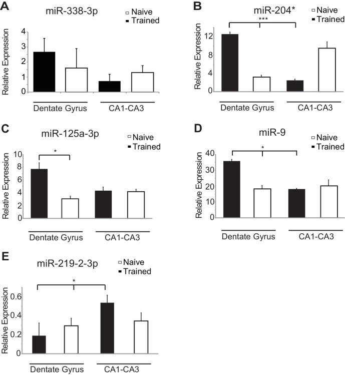 Figure 3—figure supplement 1.