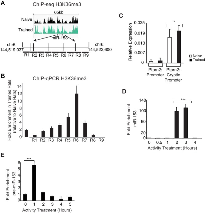 Figure 4—figure supplement 1.