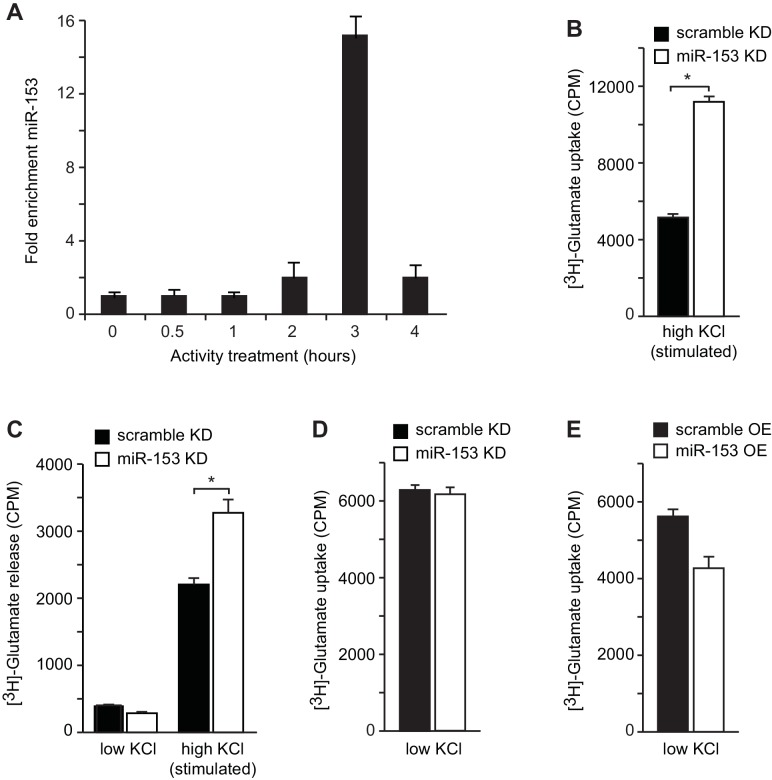 Figure 9—figure supplement 1.