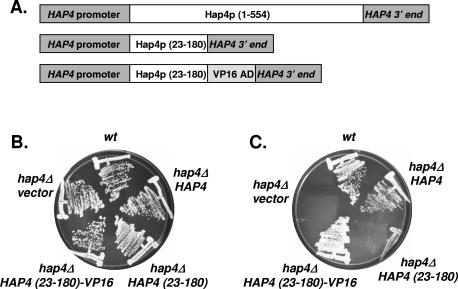 FIG. 5.