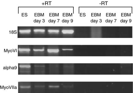 Figure 3