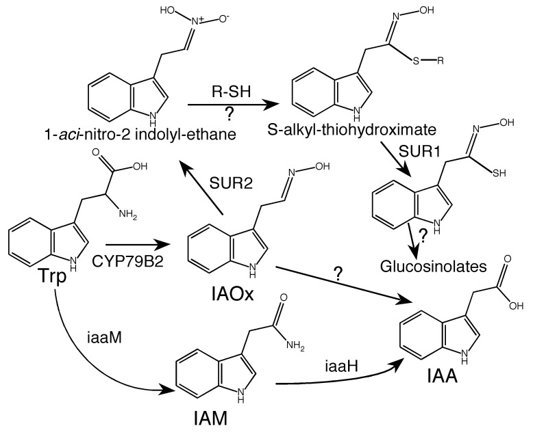 Figure 2.