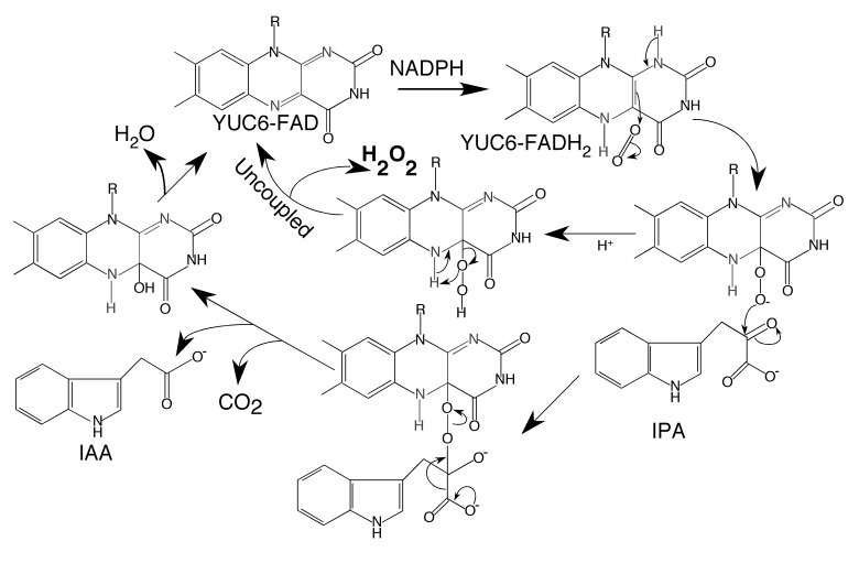 Figure 6.