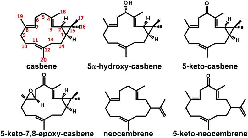 Figure 4.