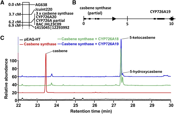 Figure 5.