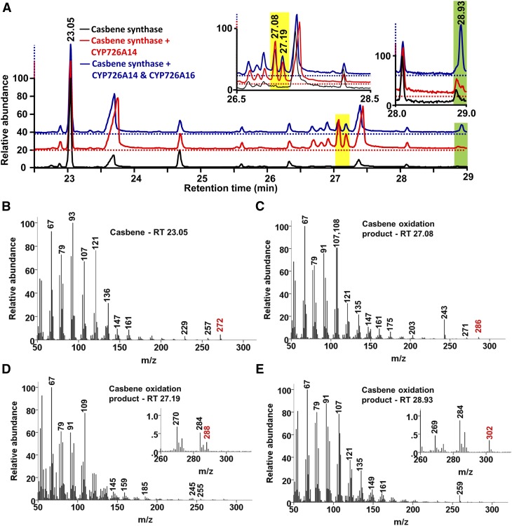 Figure 3.