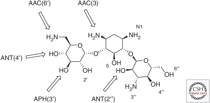 Figure 2.