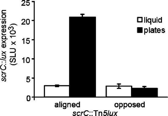 FIG. 6.