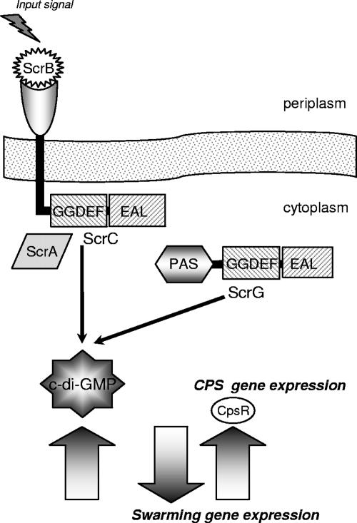 FIG. 7.