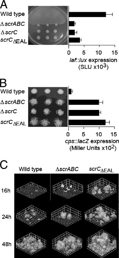 FIG. 1.