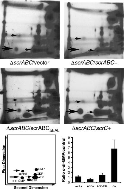 FIG. 2.