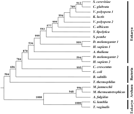 Figure 7.