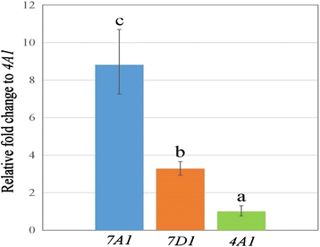 Fig. 5