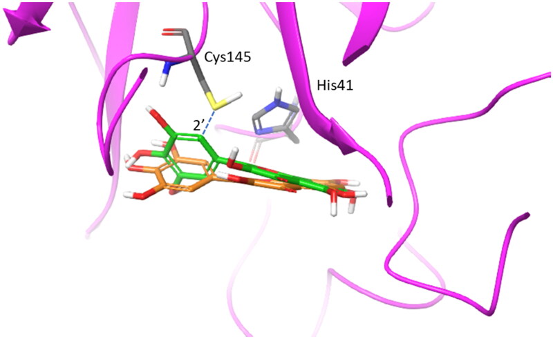 Figure 7.