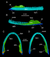 Fig 6