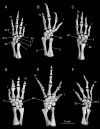 Fig 13