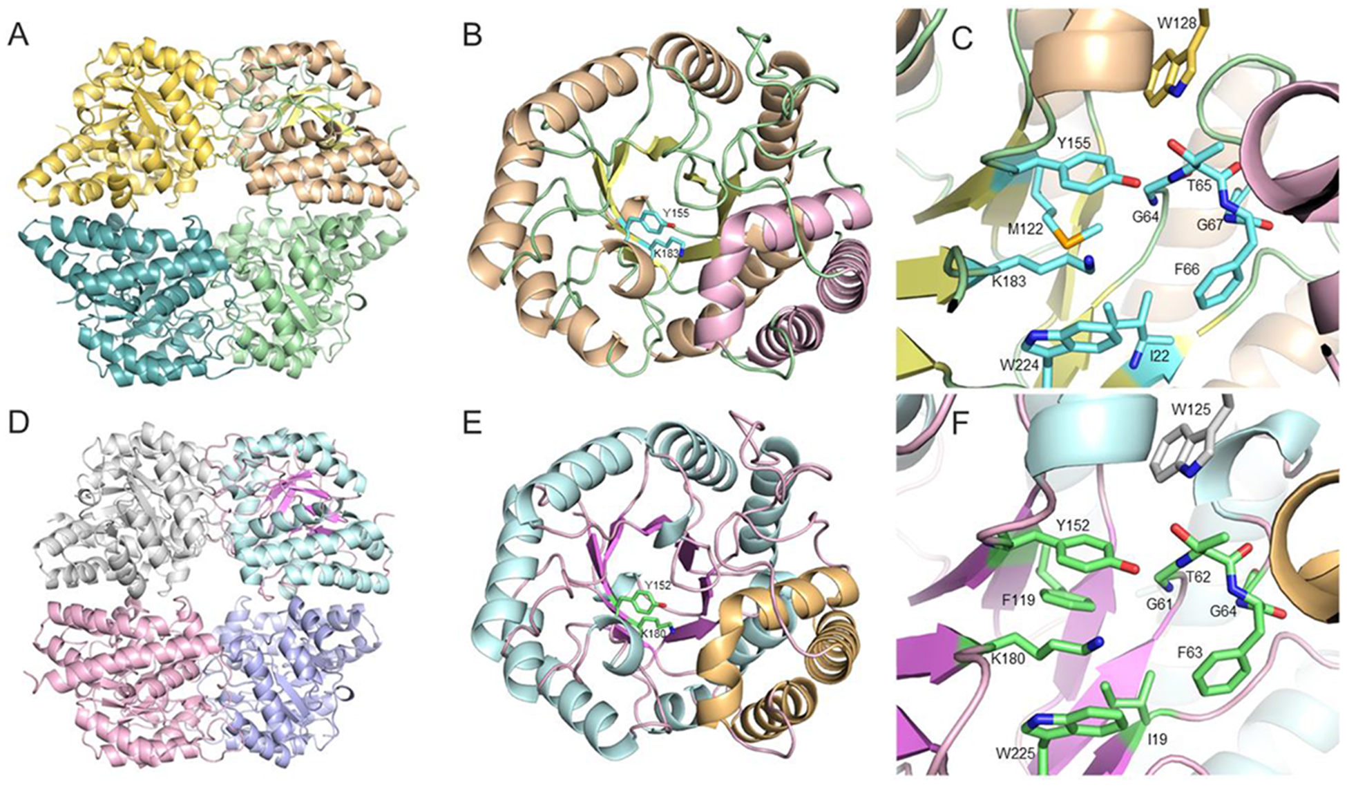 Figure 2.