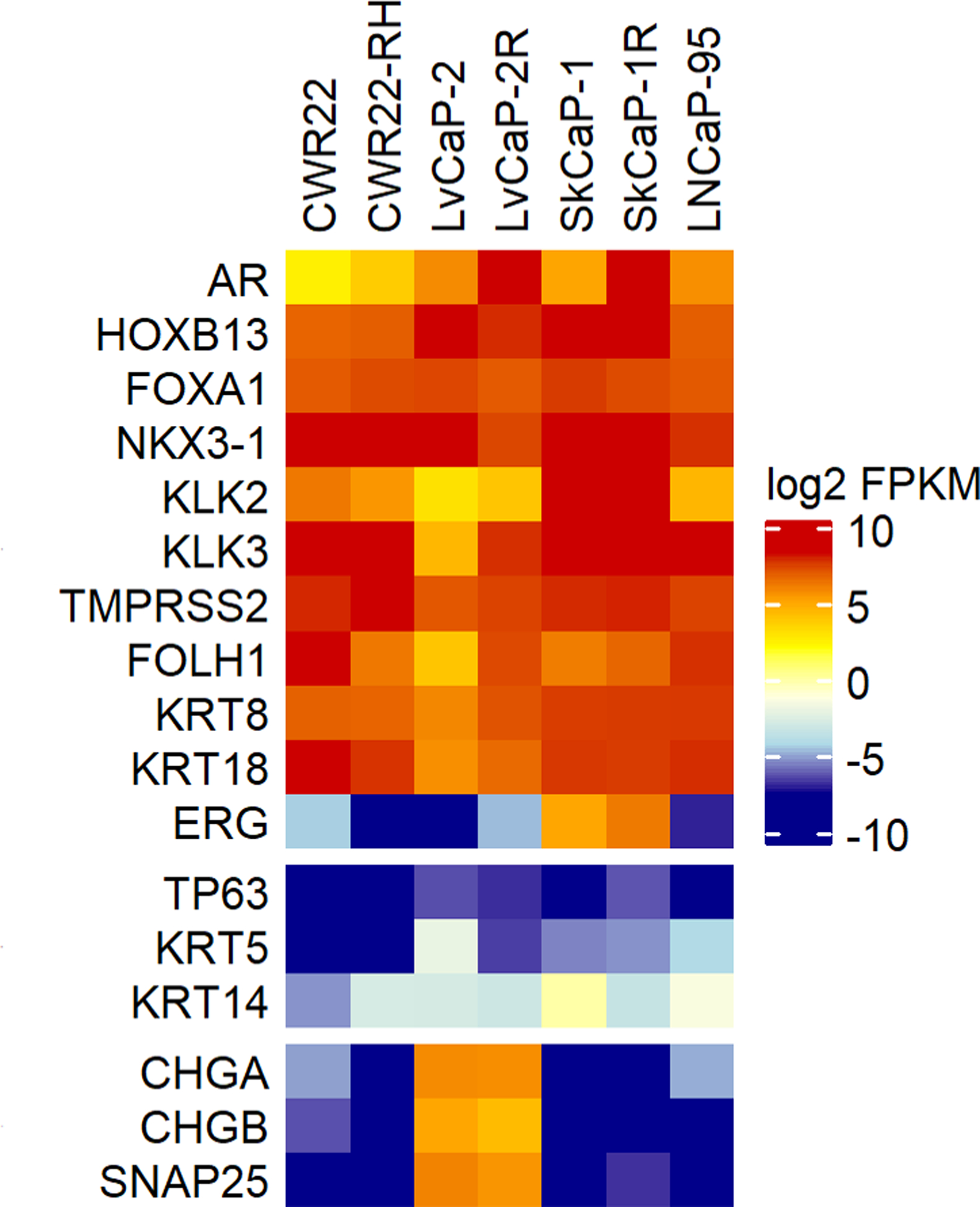 Figure 2: