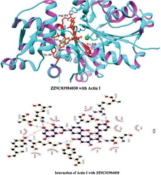 Supplementary Figure 1