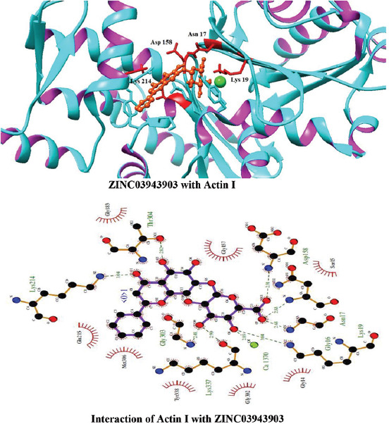 Supplementary Figure 3