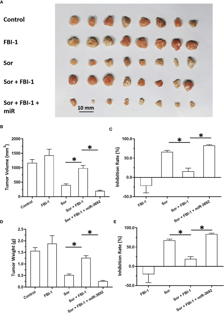 Figure 6