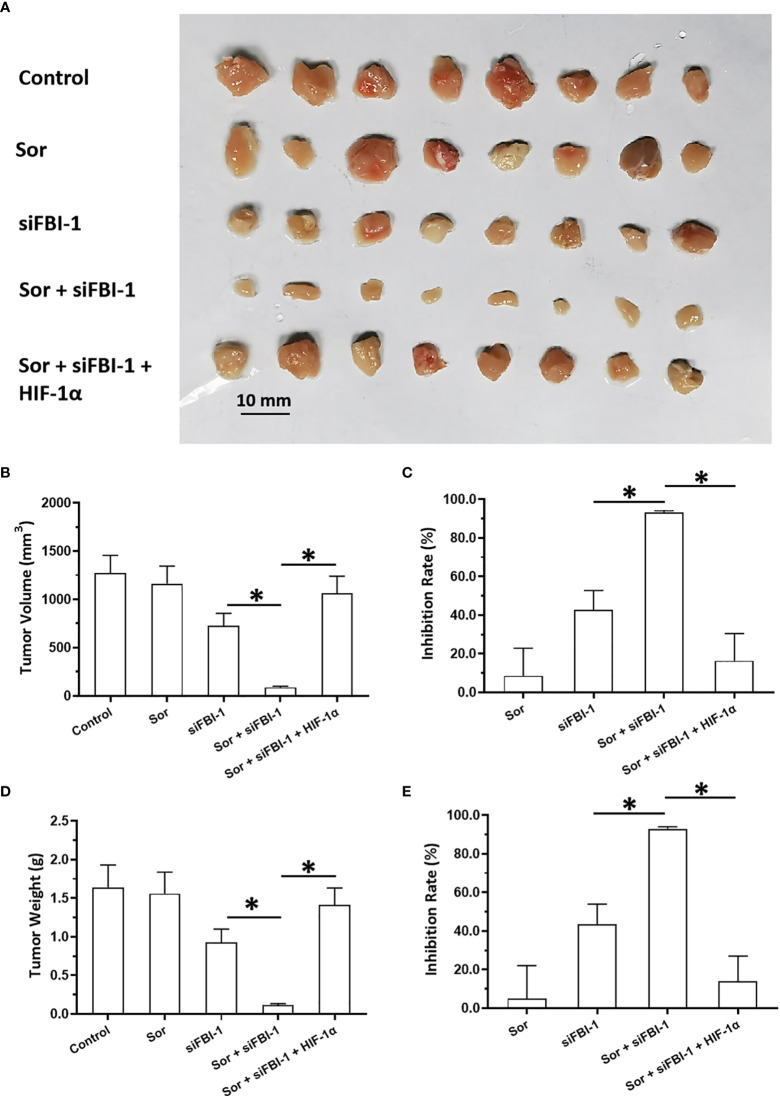 Figure 5