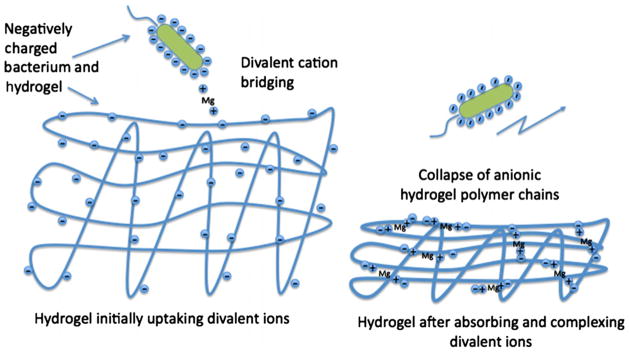 Fig. 13