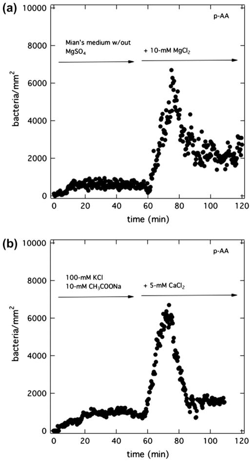 Fig. 9