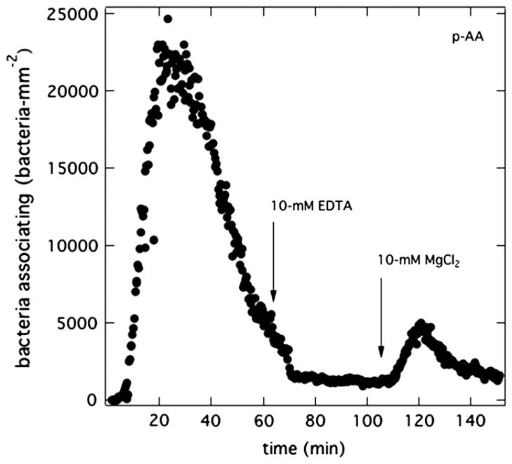 Fig. 11