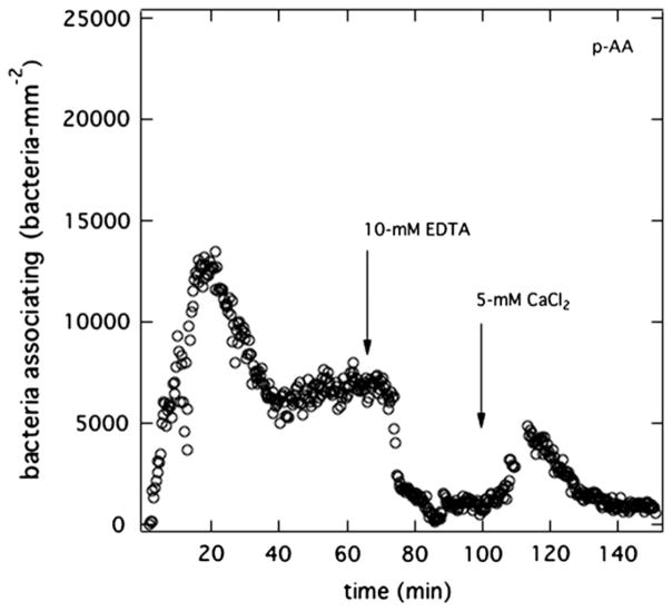 Fig. 12