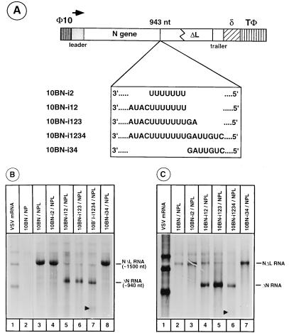 FIG. 6