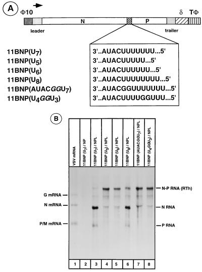 FIG. 5