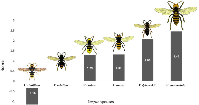 Fig 6