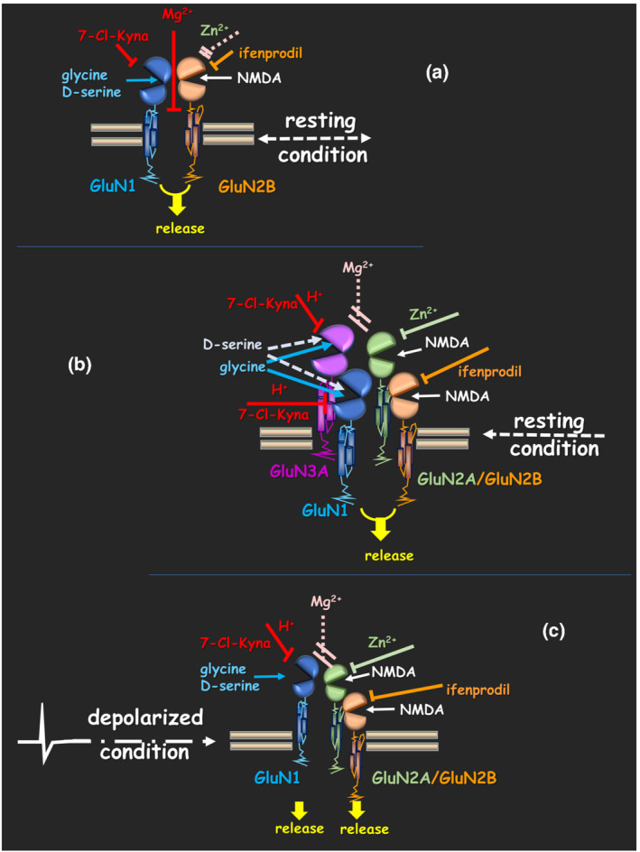 FIGURE 2