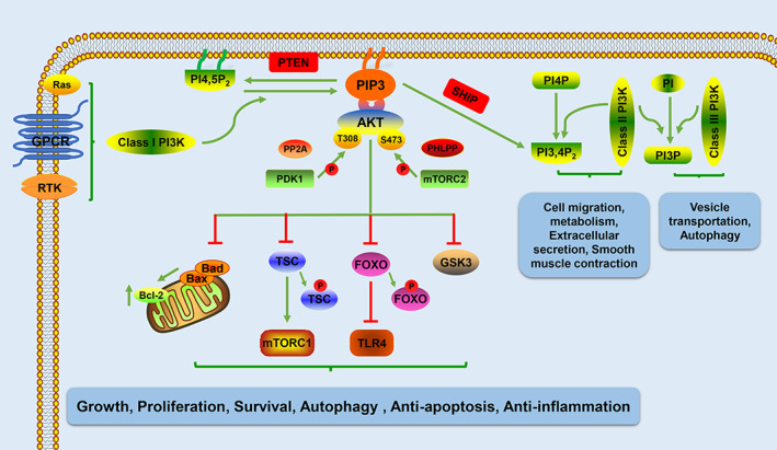 FIGURE 4