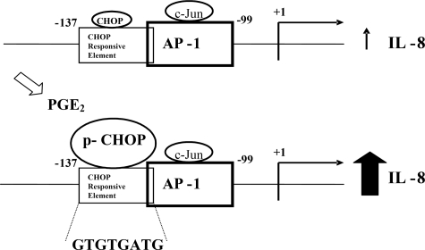 FIGURE 9.