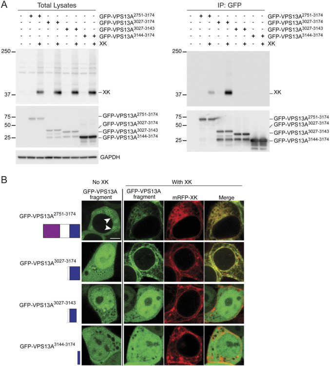 Fig. 3.