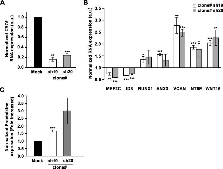 FIGURE 12.