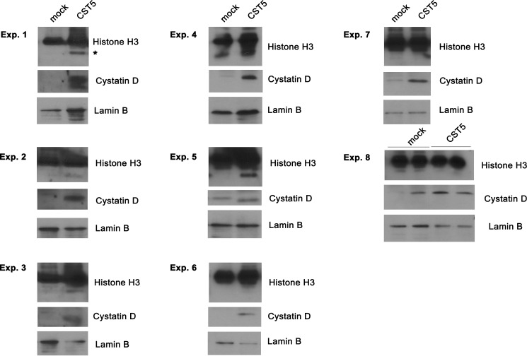 FIGURE 5.