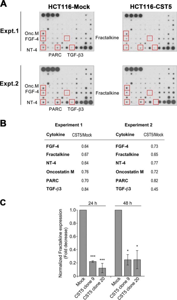 FIGURE 11.