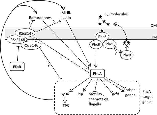 FIG 9