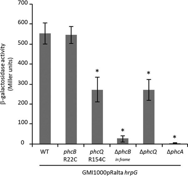 FIG 3