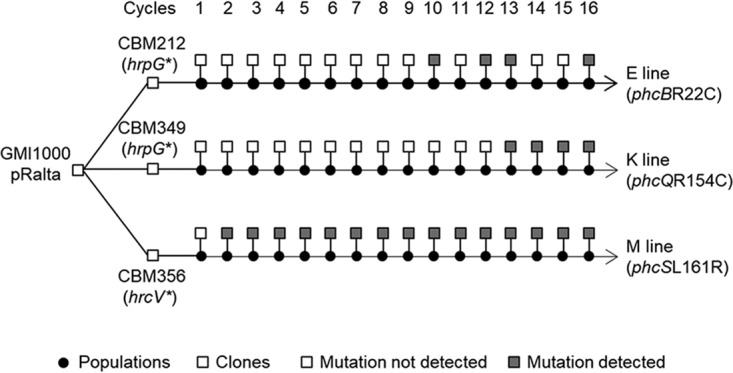 FIG 1