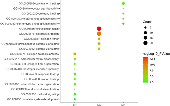 FIGURE 3