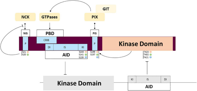 FIGURE 4