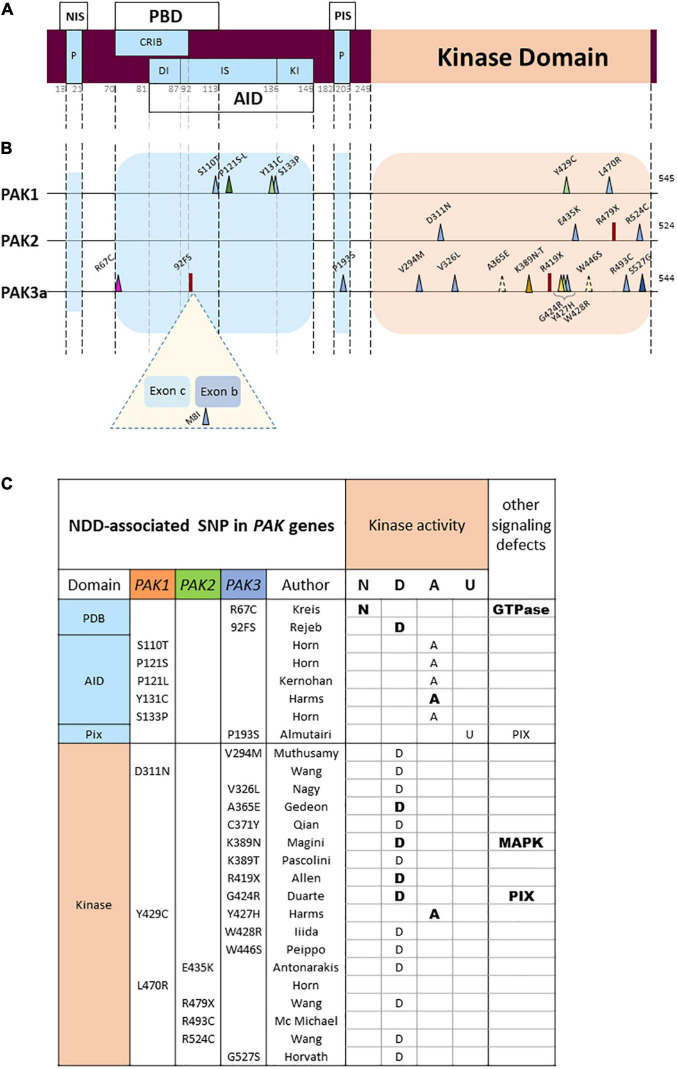 FIGURE 3