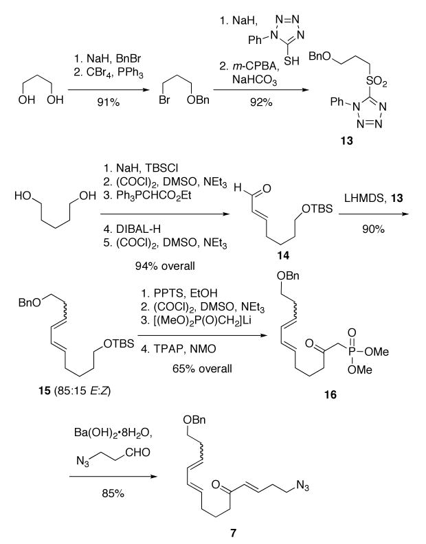 Scheme 3