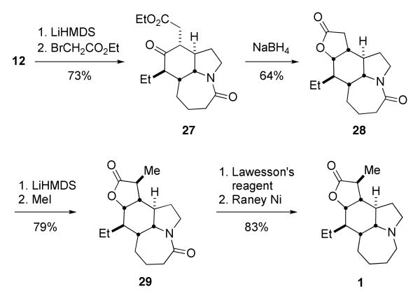 Scheme 9