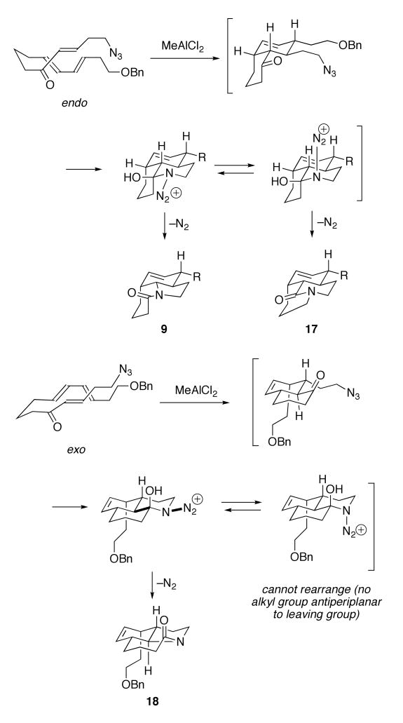 Scheme 4