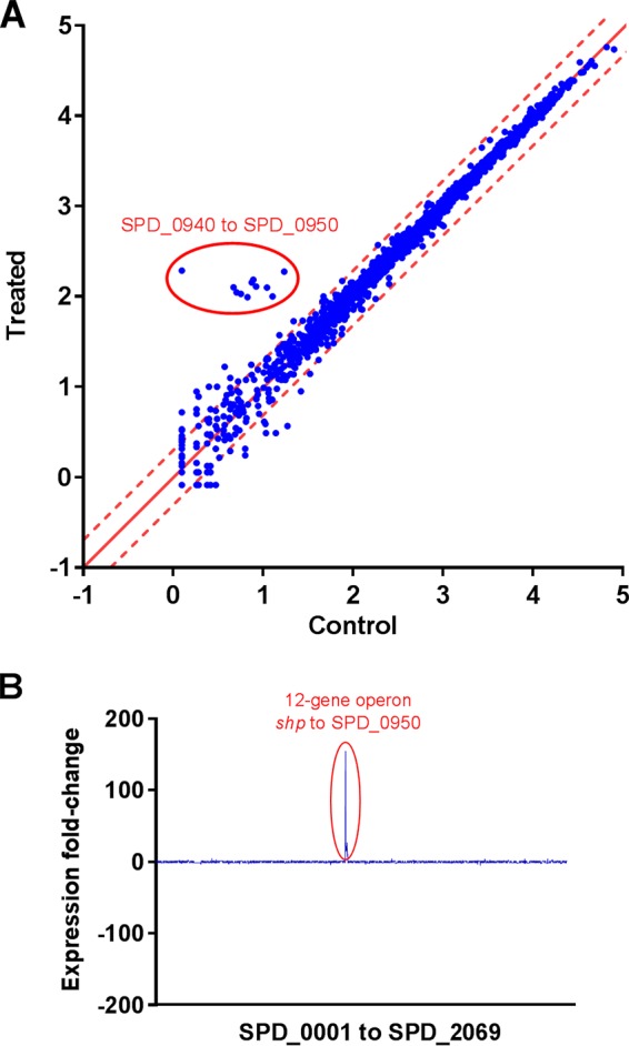 FIG 2 